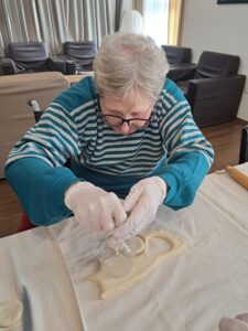 Senecura dom za starije