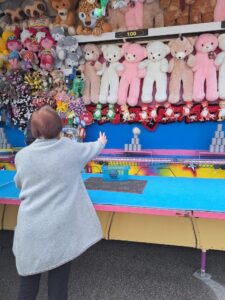 Senecura dom za starije