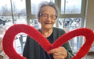 Senecura dom za starije