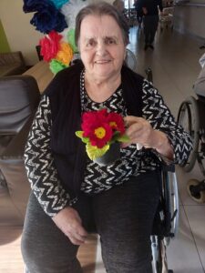 Senecura dom za starije