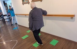 Senecura dom za starije