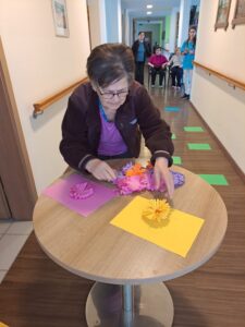 Senecura dom za starije