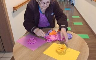 Senecura dom za starije