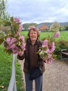 Senecura dom za starije