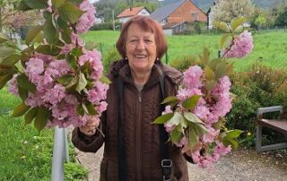 Senecura dom za starije