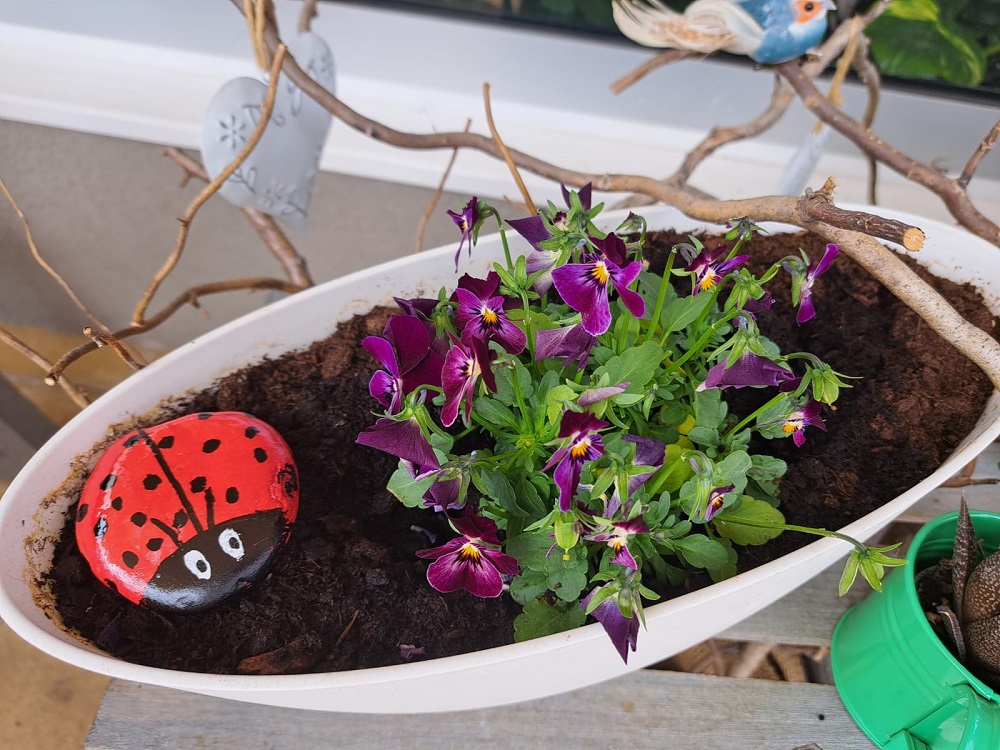 Senecura dom za starije