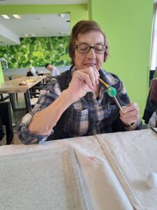 Senecura dom za starije