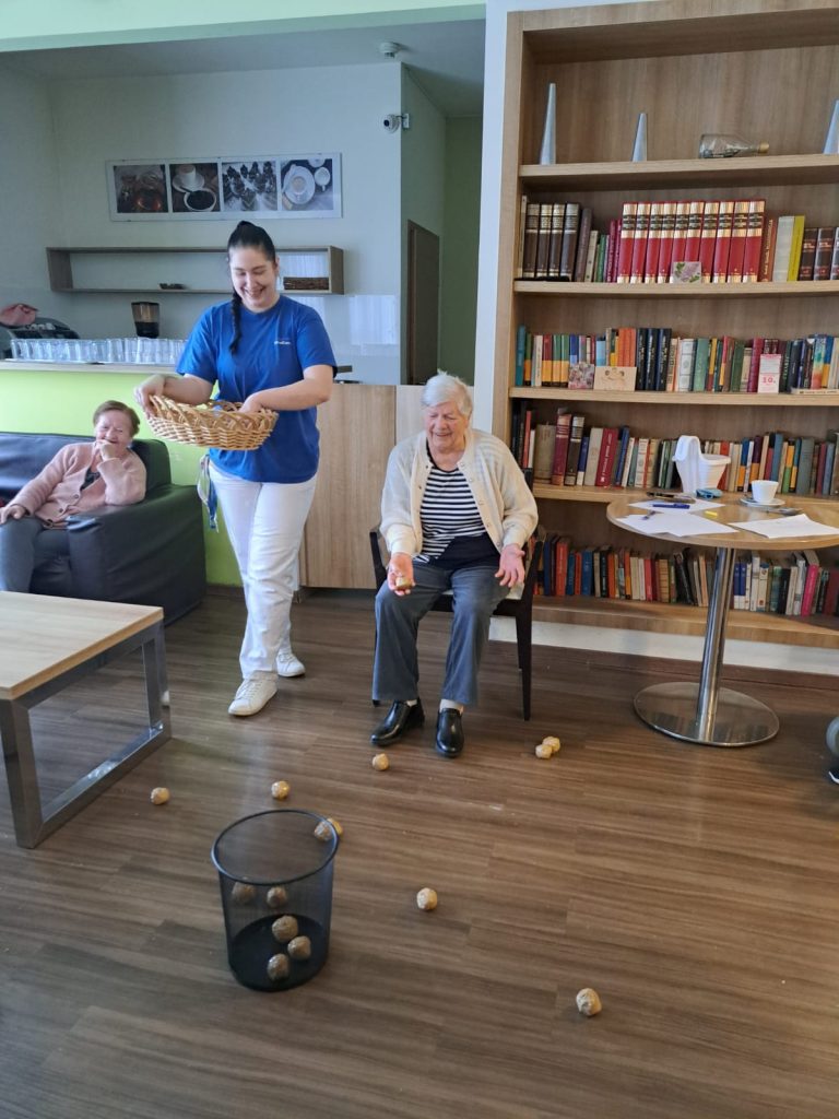 Senecura dom za starije