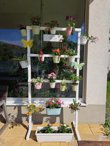 Senecura dom za starije