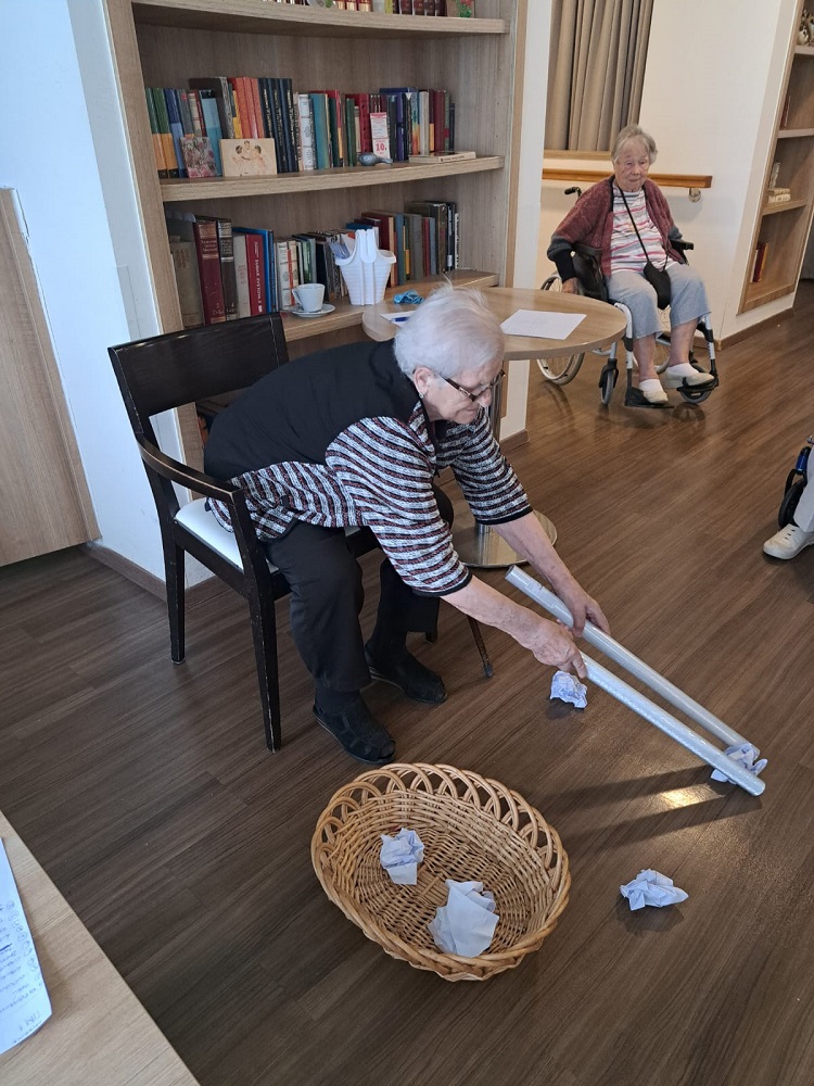 Senecura dom za starije