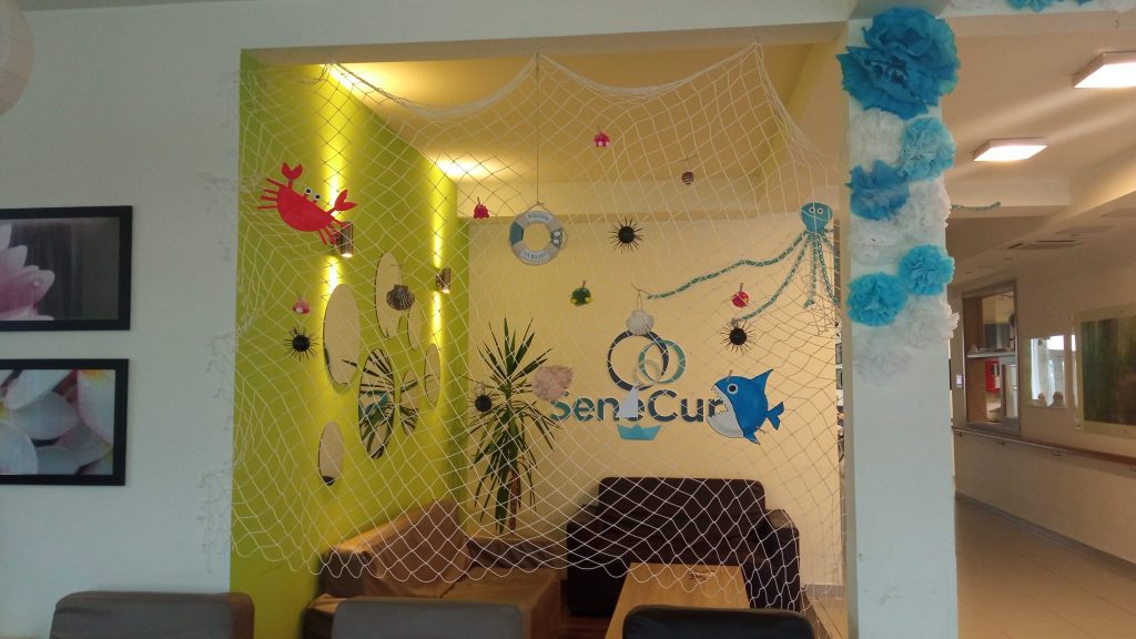 Senecura dom za starije