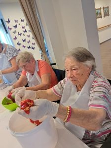 Senecura dom za starije