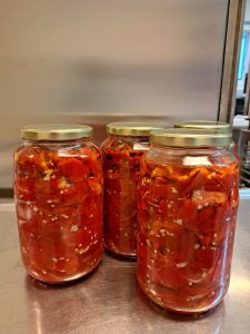 Senecura dom za starije