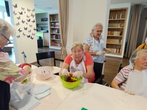 Senecura dom za starije