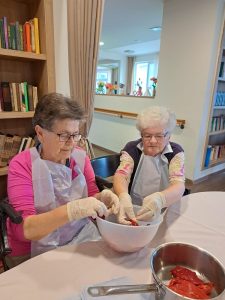 Senecura dom za starije