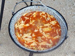 Senecura dom za starije