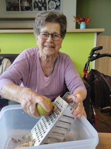 Senecura dom za starije