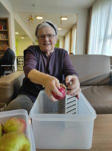 Senecura dom za starije