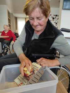 Senecura dom za starije