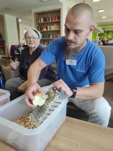 Senecura dom za starije