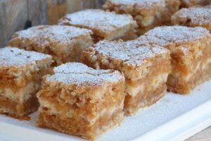 Senecura dom za starije