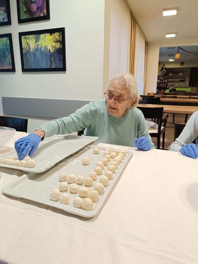 Senecura dom za starije