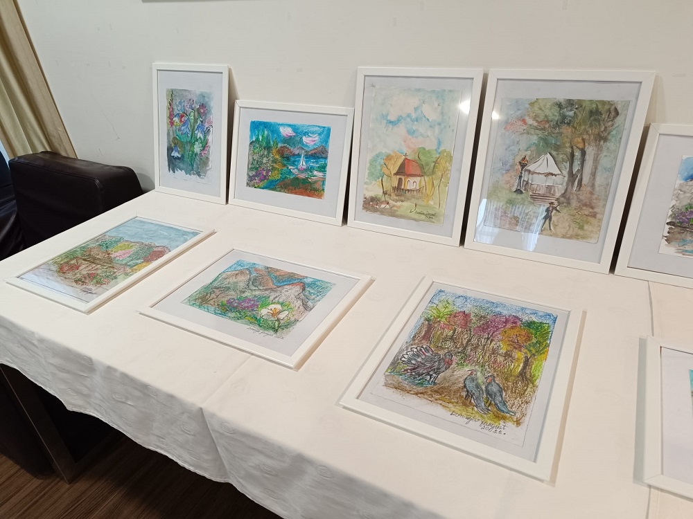 Senecura dom za starije