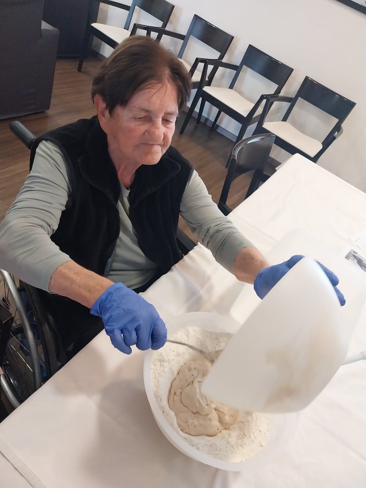 Senecura dom za starije