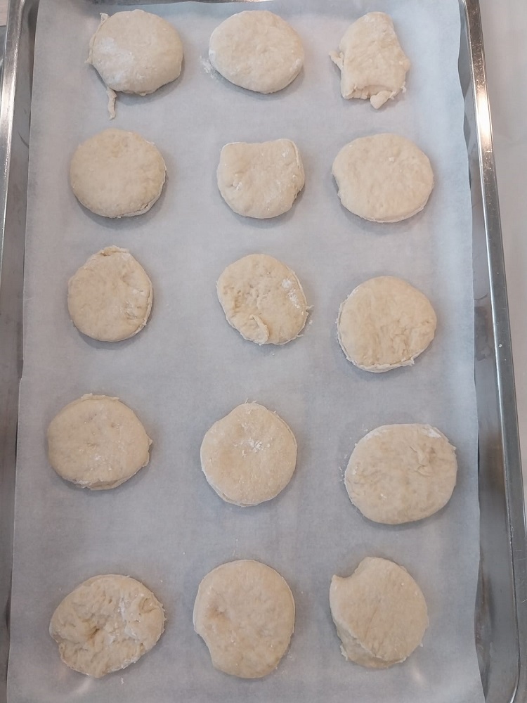 Senecura dom za starije