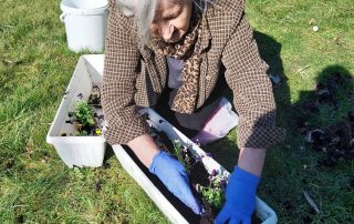 Senecura dom za starije