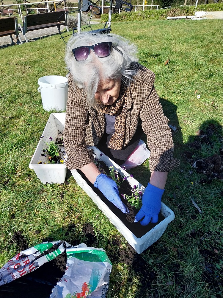 Senecura dom za starije