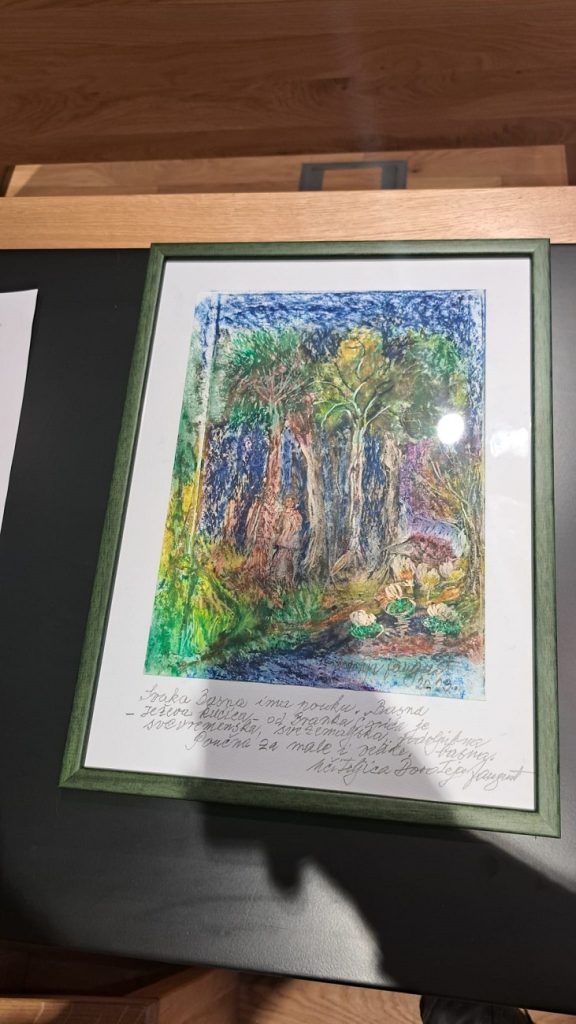 Senecura dom za starije