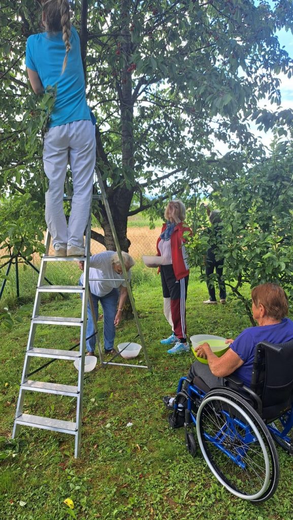 Senecura dom za starije