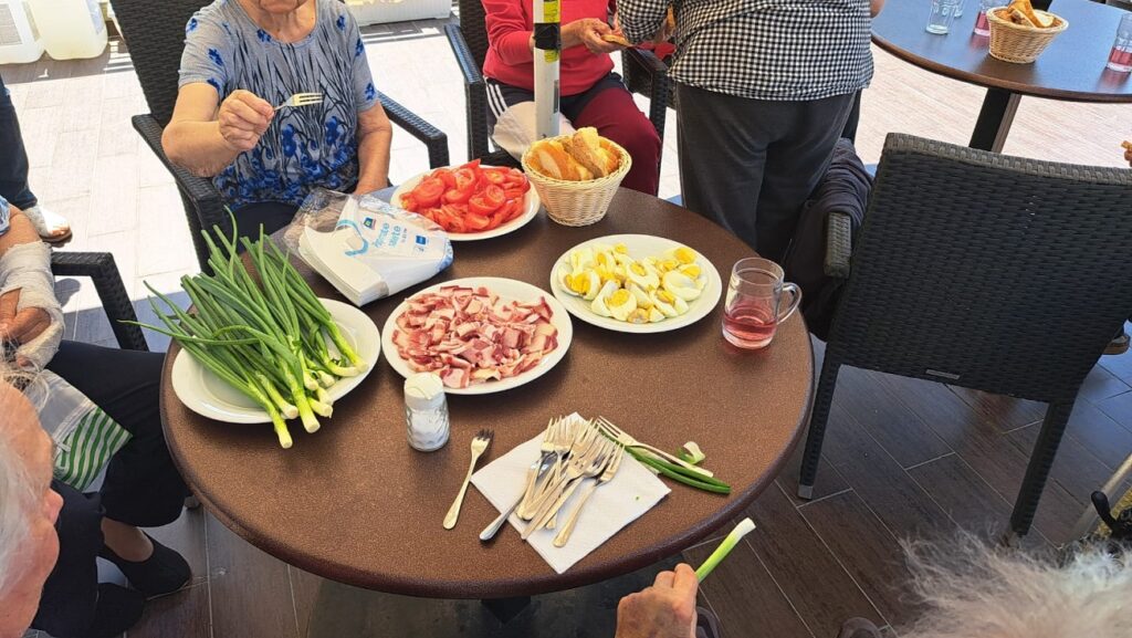 Senecura dom za starije