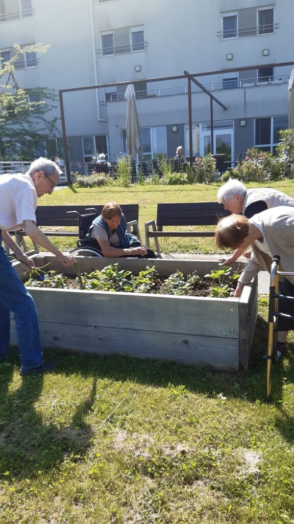 Senecura dom za starije