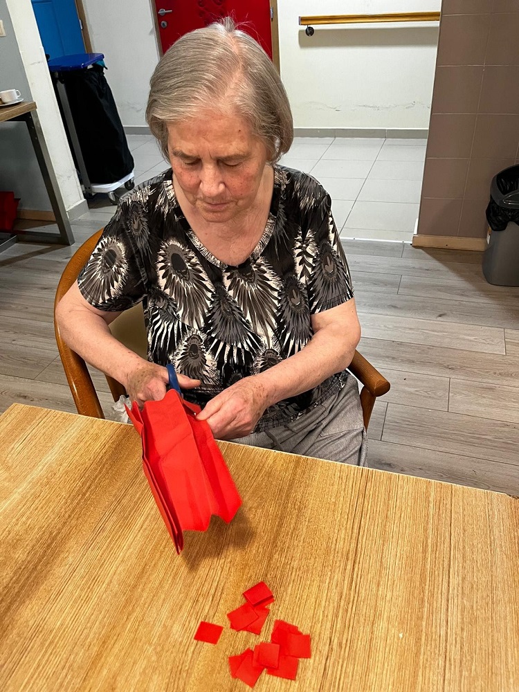 Senecura dom za starije