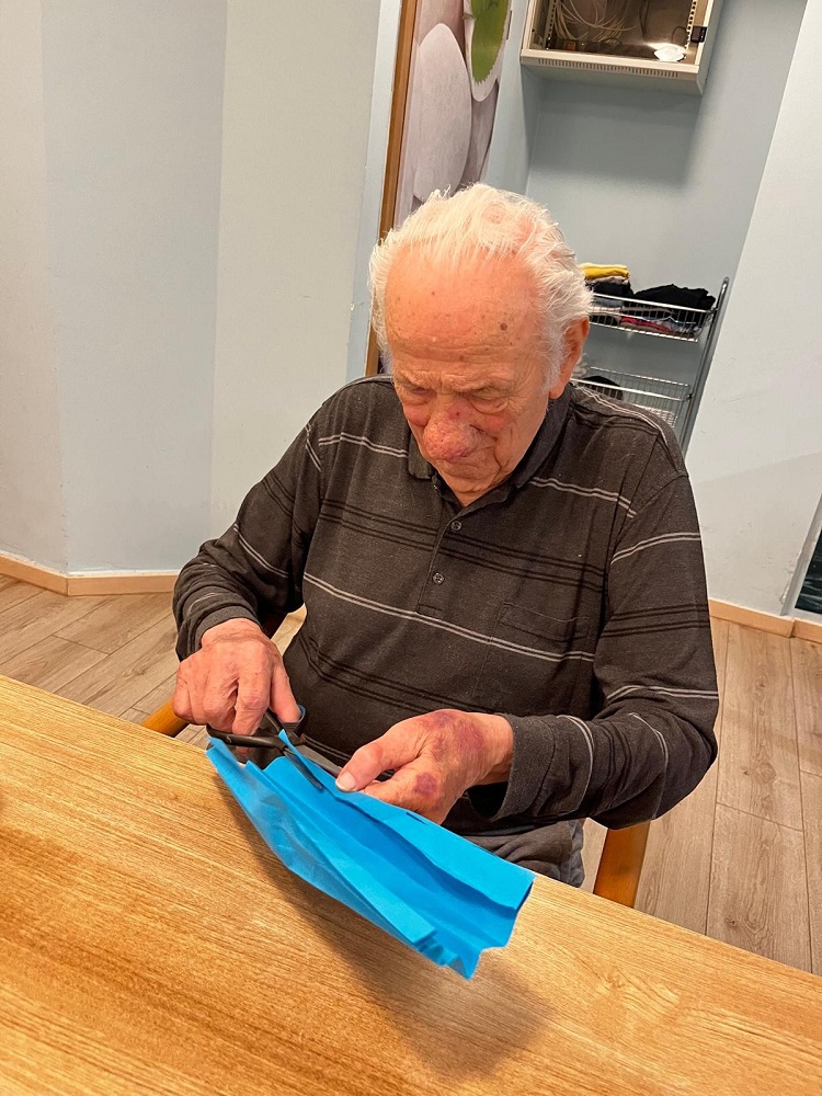 Senecura dom za starije