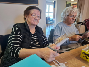 SeneCura Novaki Bistranski